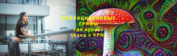 прущая мука Вязники